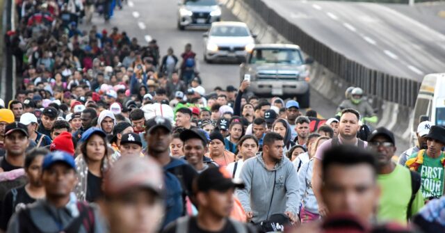 Survey Shows Few Biden Migrants Were Asylum Seekers