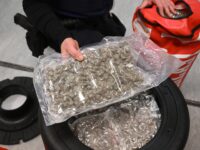 This photograph shows cannabis hidden in a boxing punching bag seized by customs officers