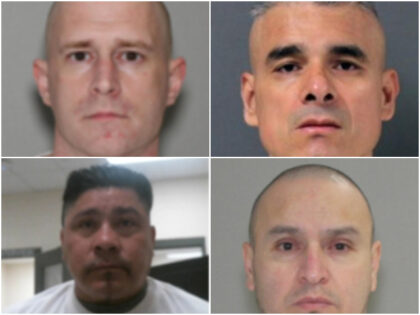 Illegal aliens convicted of child sex crimes