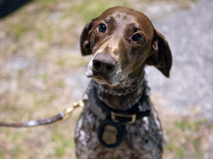 Employees with the Department of Homeland Security (DHS) Federal Protective Service K9 uni