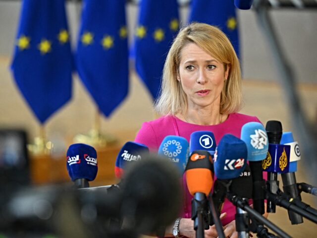 EU High Representative and Vice-President for Foreign Affairs and Security Policy Kaja Kal