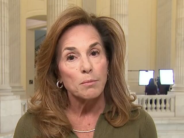 GOP Rep. McClain: Senate DHS Bill Sent to House Is ‘Dead on Arrival’