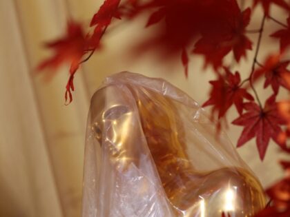 An Oscar statue is seen under plastic ahead of the 98th Annual Academy Awards at the Dolby