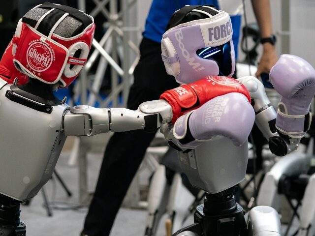robot boxers