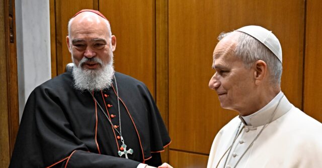 Video: Pope Leo XIV Meets Archbishop of Tehran, Evacuated During War, in Vatican