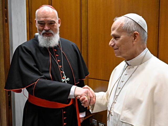 VATICAN CITY, VATICAN - MARCH 11: (EDITOR NOTE: STRICTLY EDITORIAL USE ONLY - NO MERCHANDI