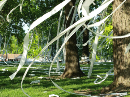 A High School was toilet papered ( TP'd ) by students for an "End of the Year&qu