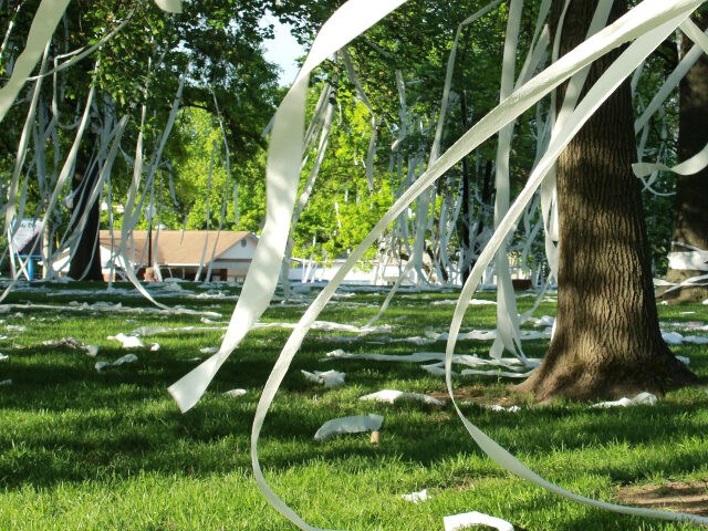toilet-papered yard