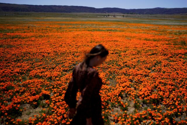 The Associated Press