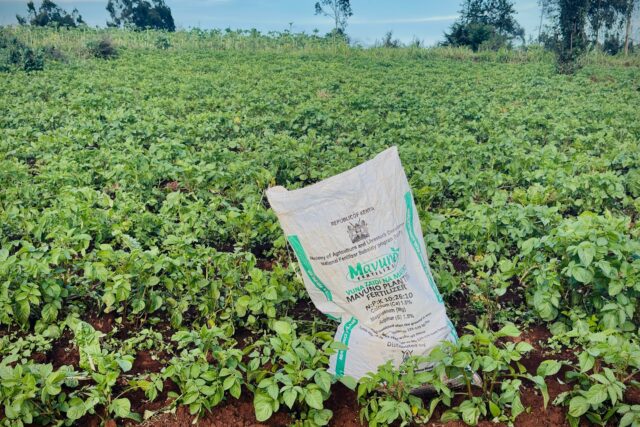 Kenya Iran Fertilizer The Associated Press