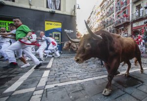 Sheriff's office warns of bull on the loose in Kansas