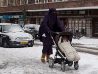 Honour-Related Violence Surges to Record High in the Netherlands