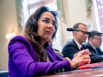 Harmeet Dhillon: Semiautomatic Rifles Like the AR-15 ‘Are Protected by the Constitution’