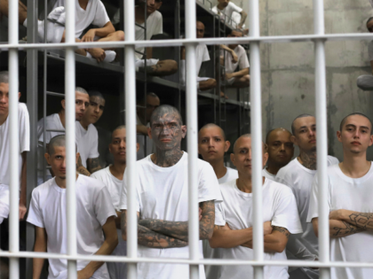 FILE - Inmates attend a class on social behavior from inside their shared cell during a pr