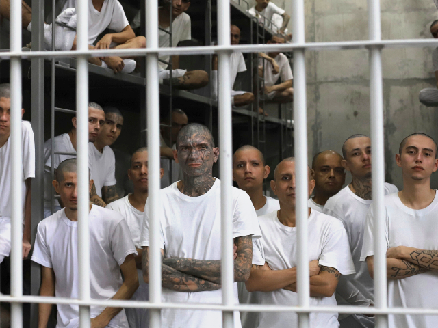 FILE - Inmates attend a class on social behavior from inside their shared cell during a pr