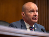 Mike Lee: Put H-1B Program on Pause