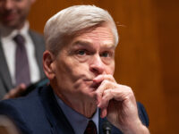 Report: Bill Cassidy Risks Missing Runoff as Letlow, Fleming Surge in Louisiana Senate Race