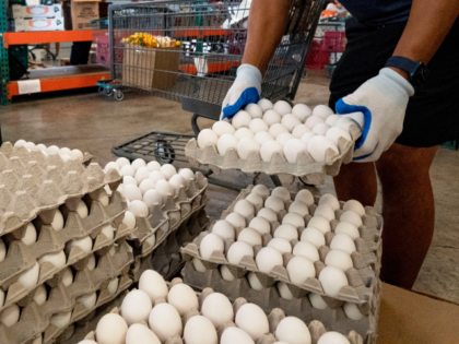 Volunteer Ron Lunasim picks up a carton of eggs while preparing food orders for families a