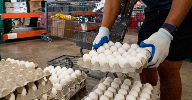 PHOTOS — U.S. Farmers Donate 6 Million Eggs During Easter and Passover Holidays: 'Proud to Give Back'