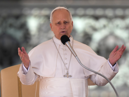 Pope Leo XIV blesses faithful at the beginning of his weekly general audience in St. Peter