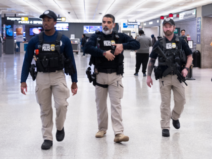 Department of Homeland Security, Transportation Security Administration, Federal Air Marsh