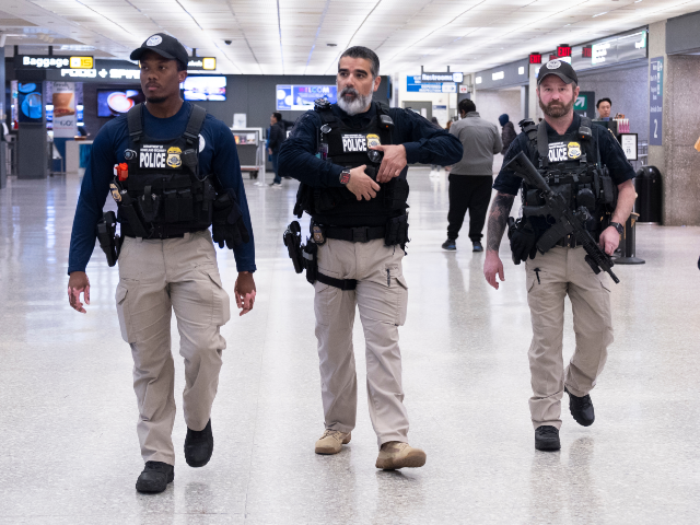 Department of Homeland Security, Transportation Security Administration, Federal Air Marsh