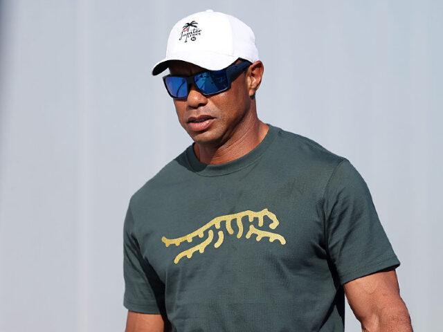Tiger Woods’ Private Jet Lands in Switzerland After DUI Arrest