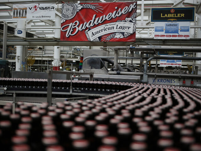 Signage is displayed from a beam as bottles of Budweiser beer move down the bottling line