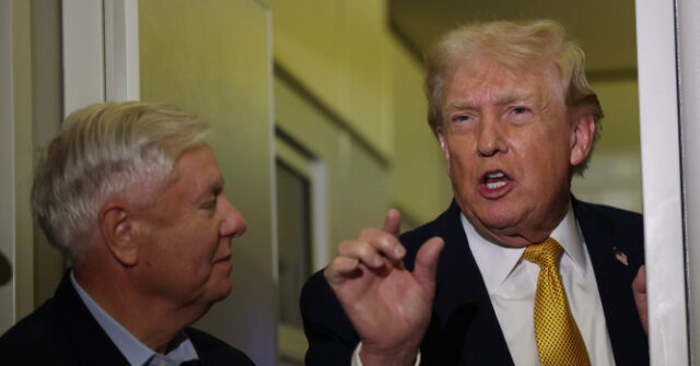 Trump Throws Support Behind Lindsey Graham, Attacks Graham Challenger Mark Lynch