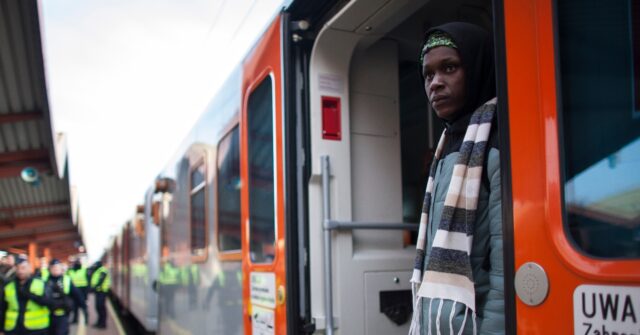 Ukraine Government Looks to Increase Immigration From Africa to Bolster Workforce