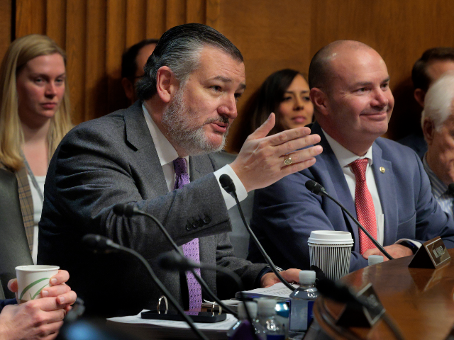WASHINGTON, DC - FEBRUARY 26: Senate Judiciary Committee member Sen. Ted Cruz (R-TX) (3rd