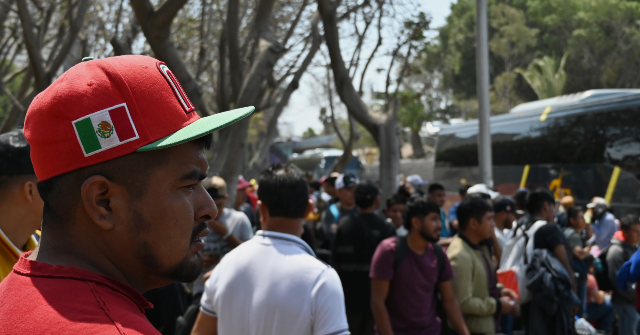 Cato Claims Migrants Pay More Taxes than Average Americans