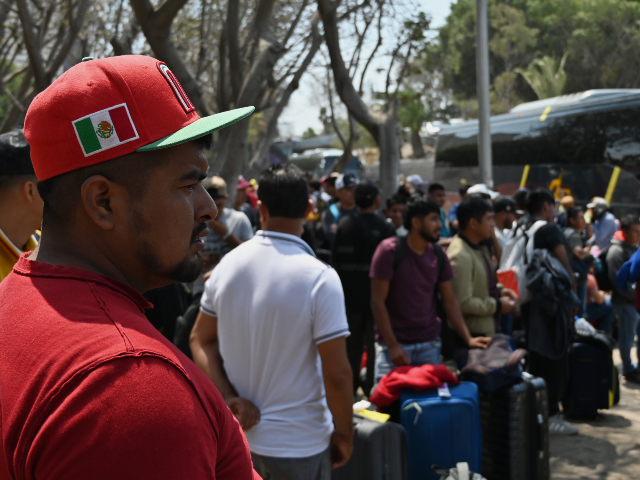 A Mexican laborer with a work visa is dropped off by bus with his fellow workers to line u
