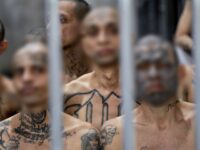 AG Todd Blanche Authorizes Death Penalty Against MS-13 Gang Members Accused of Killing FBI Informan