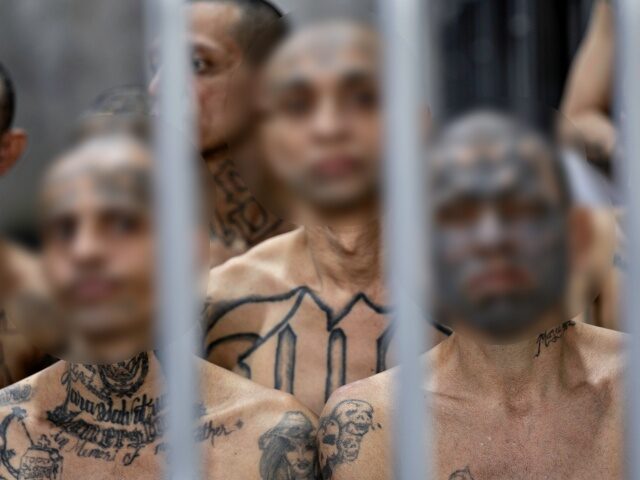 TECOLUCA, EL SALVADOR - DECEMBER 15: Inmates look from their cell at CECOT (Counter Terror