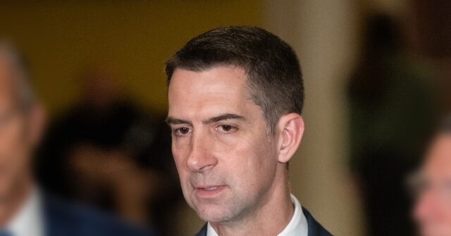 Tom Cotton Calls Out U Visa Program as 'De Facto Amnesty' for Illegal Aliens
