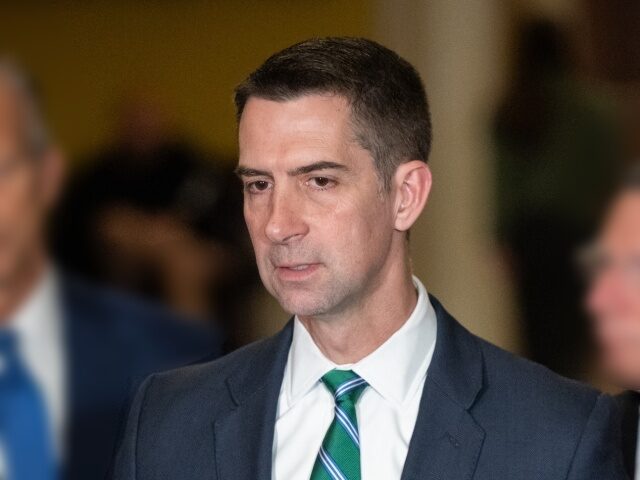 WASHINGTON, DC - MARCH 17: Senator Tom Cotton (R-AR) speaks at a press conference with oth