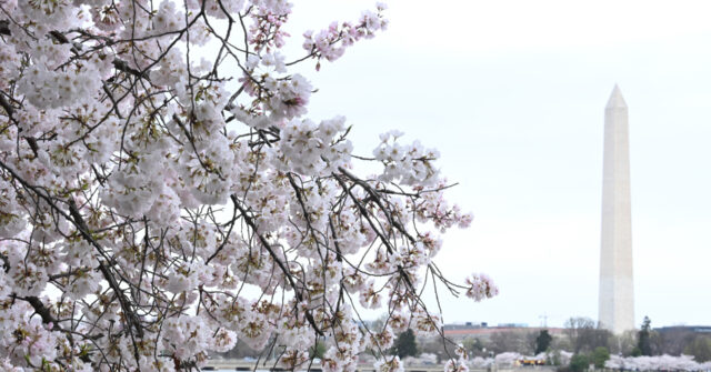 Fed Researchers: Economy Now Needs Far Fewer Jobs to Stay Healthy