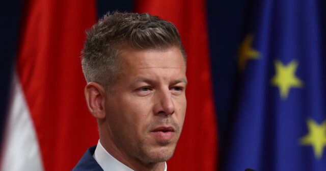 Hungary Elections: Who is Péter Magyar and Why Are Obama and Clinton So Excited About Him?