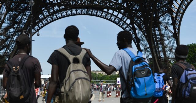 French Academic Praises Mass Migration From Africa as a ‘Great Irrigation’ of Society