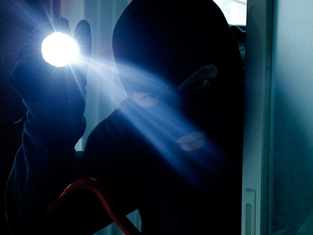 Report: Thieves Attack Aging Budget Rental Car Heiress During Burglary of Her Hollywood Hills Mansi