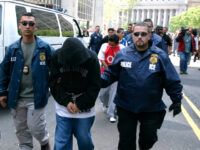 Report: ICE Has Arrested 20,000 Illegal Aliens in D.C. Region