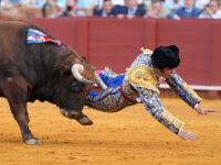 WATCH: Spanish Matador Suffers Embarrassing Injury During Bullfight