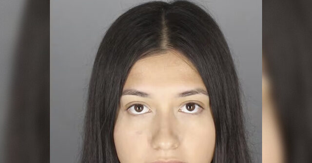 Michigan Prep School Teacher Filmed Sex with Student She Was Tutoring