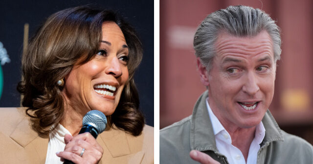 Kamala Harris Leads Newsom 22%-21% in 2028 Democrat Poll
