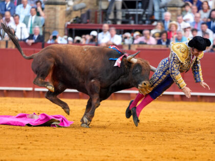 APRIL 20: Morante de la Puebla is caught in the tenth bullfight of the Feria de Sevilla. O