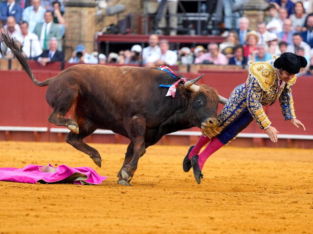 APRIL 20: Morante de la Puebla is caught in the tenth bullfight of the Feria de Sevilla. O
