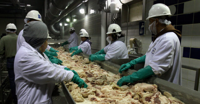 Trump's Migration Rules Force Wage Gains in Meatpacking