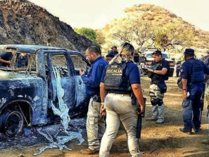 Michoacan Missing Politician