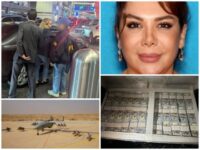 High Rolling Iranian Businesswoman Nabbed at Los Angeles Airport, Accused of Arms Trafficking